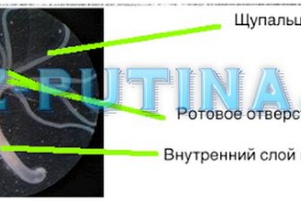 Почему не могу зайти на кракен