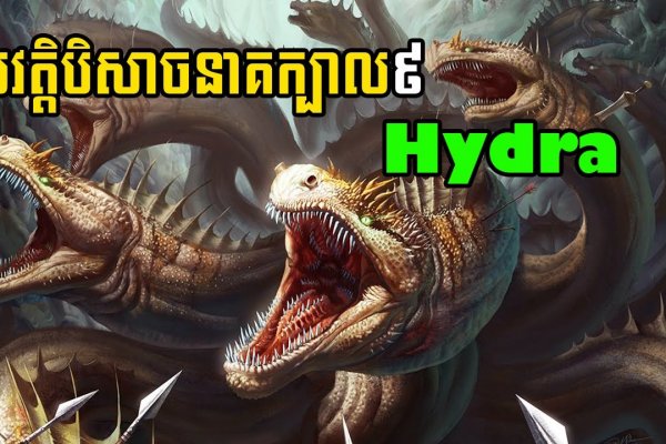 Kraken рабочее зеркало