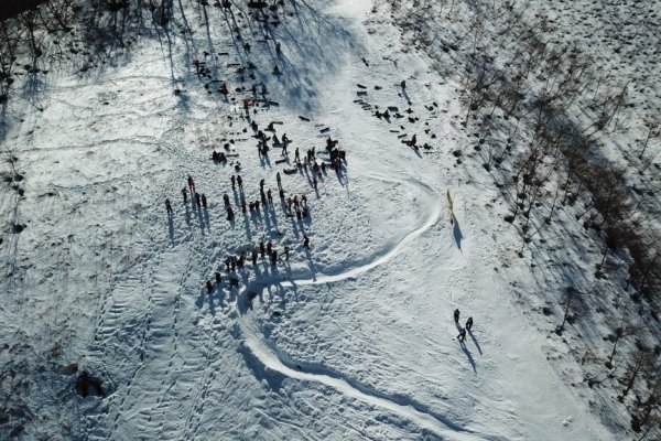 Кракен картель
