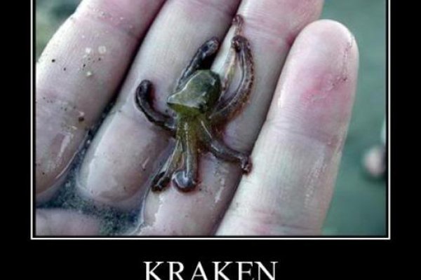 Kraken17at