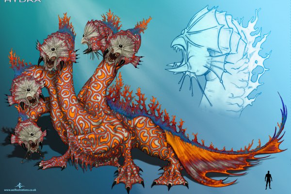 Kraken как найти ссылку