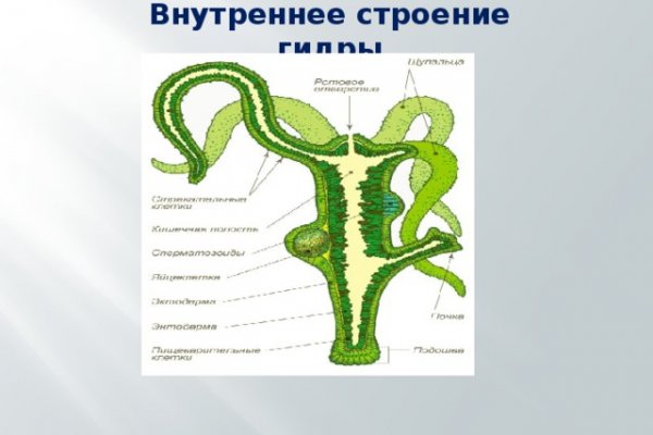 Кракен личный кабинет