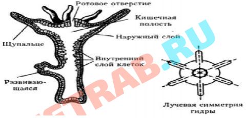 Кракен ссылка замена