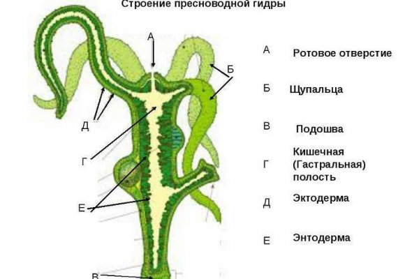 Официальные зеркала ramp ramp ssylka onion com