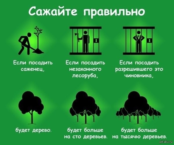 Ссылка на кракен официальный сайт